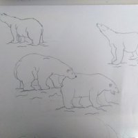 Aylin Quisbert from Italy